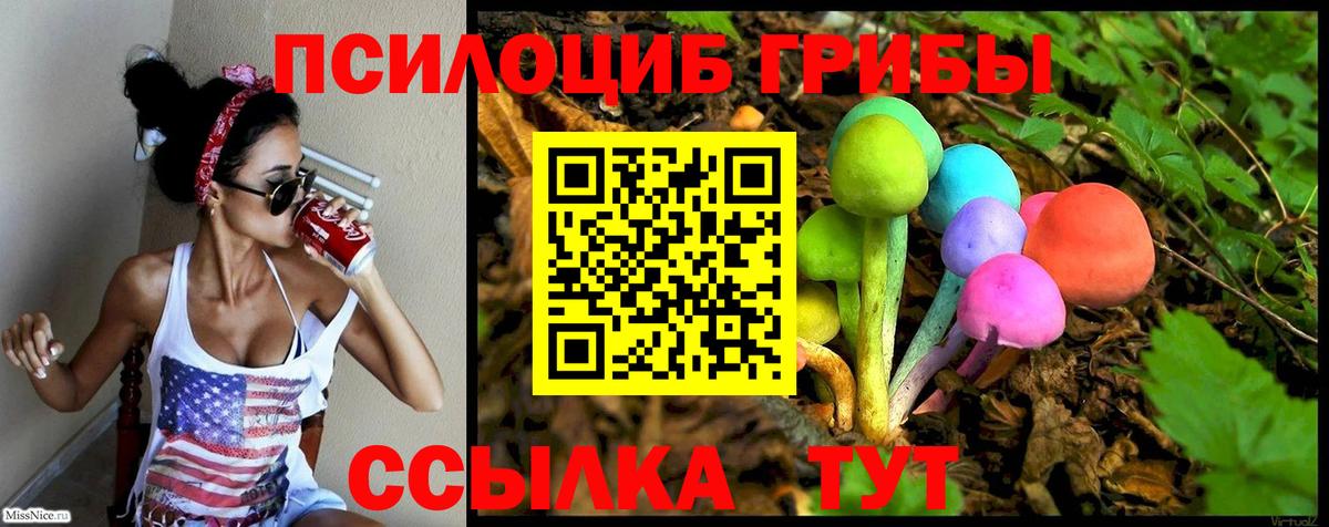 Псилоцибиновые грибы мухоморы  Галлюциногенные грибы мицелий  Новозыбков  Вход с VPN 